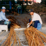 Préparation des bottes pour l'emballage